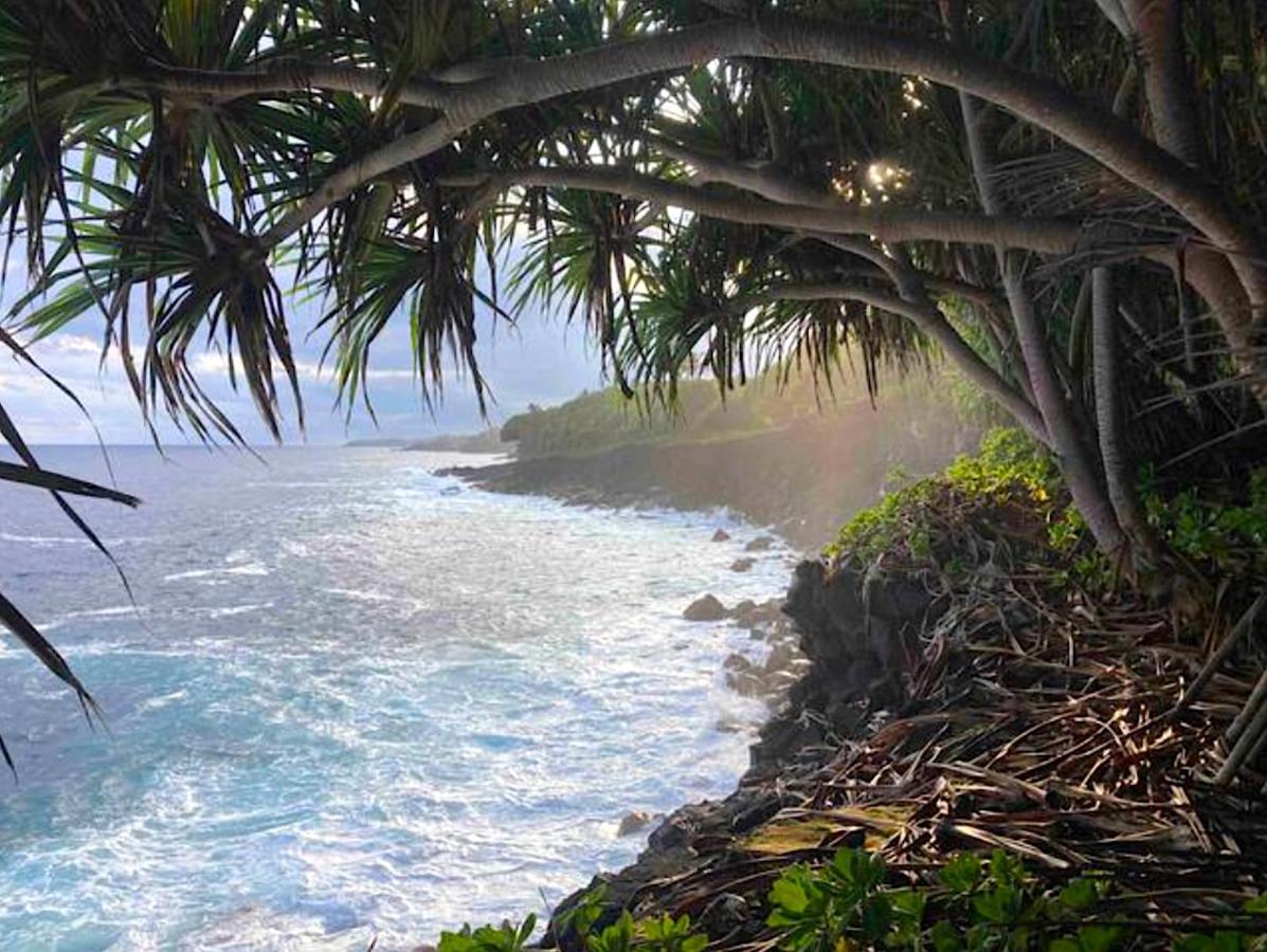 Seaside House And Aloha Bungalow Pahoa Eksteriør bilde