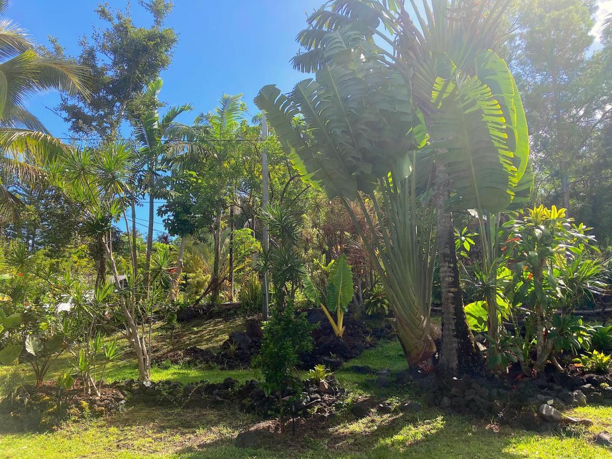 Seaside House And Aloha Bungalow Pahoa Eksteriør bilde