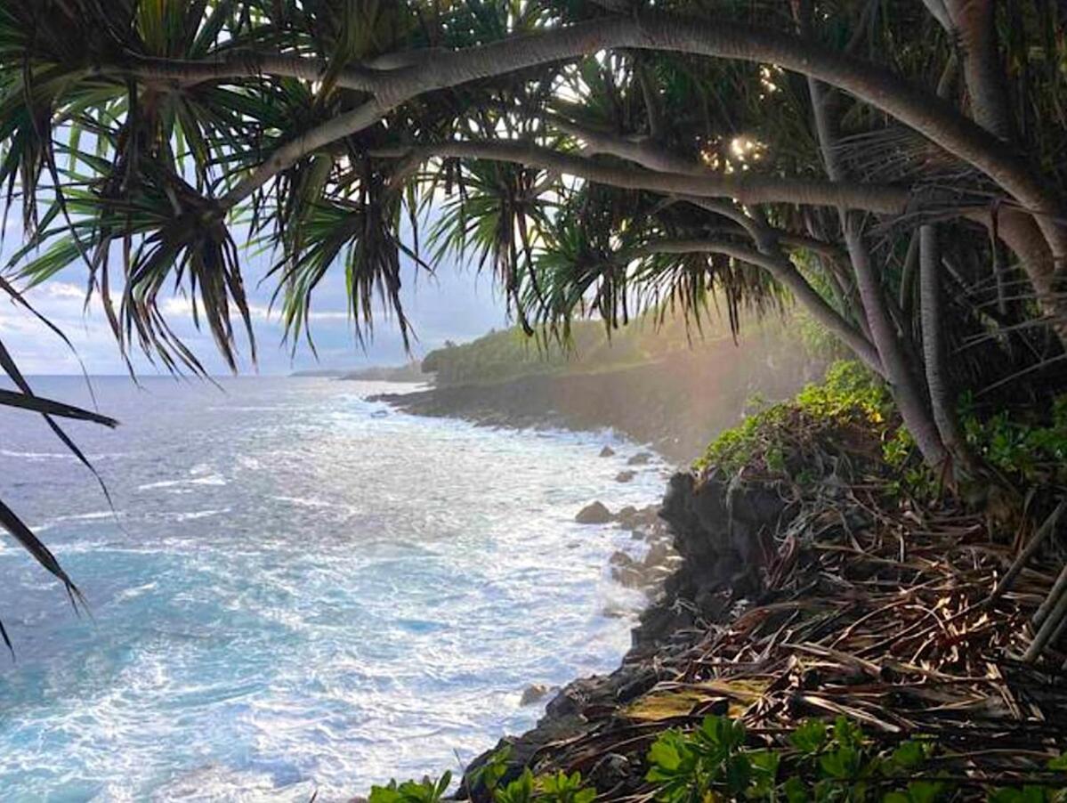Seaside House And Aloha Bungalow Pahoa Eksteriør bilde